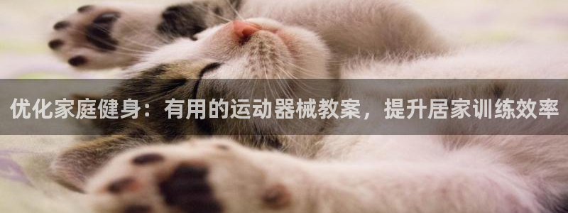尊龙集团有限公司官网：优化家庭健身：有用的运动器械教