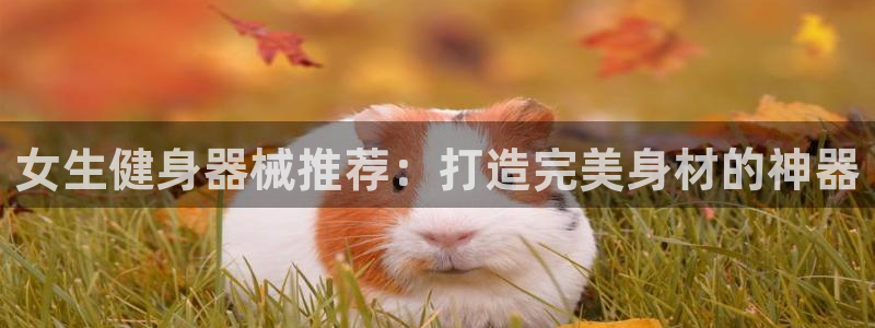 尊龙凯时下载链接：女生健身器械推荐：打造完美身材的神