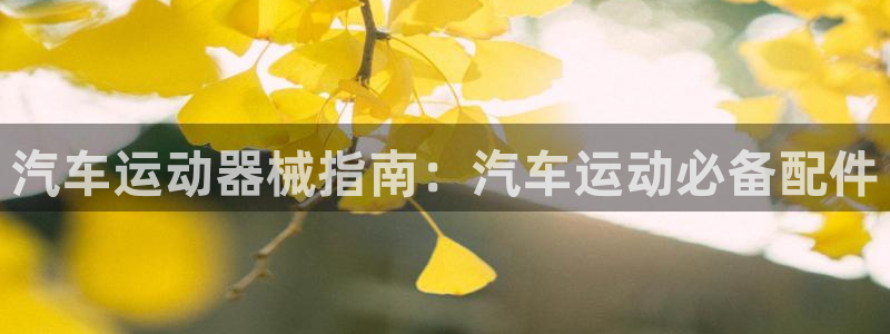 尊龙凯时人生就是博官网登录：汽车运动器械指南：汽车运