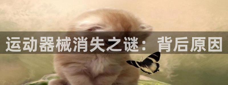 尊龙凯时ag旗舰厅登陆：运动器械消失之谜：背后原因