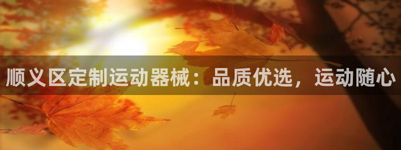 尊龙人生就是博一下下：顺义区定制运动器械：品质优选，