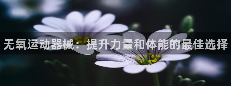 尊龙凯时链接：无氧运动器械：提升力量和体能的最佳选择