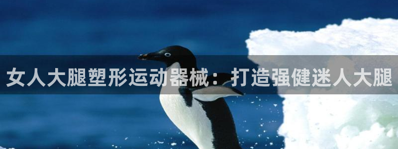 尊龙凯时干什么的：女人大腿塑形运动器械：打造强健迷人