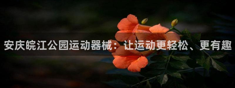 尊龙—人生就是博：安庆皖江公园运动器械：让运动更轻松、更有趣