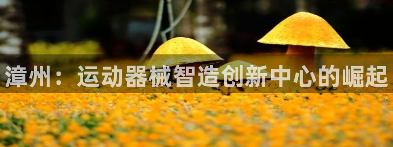 d88尊龙可靠送38元：漳州：运动器械智造创新中心的