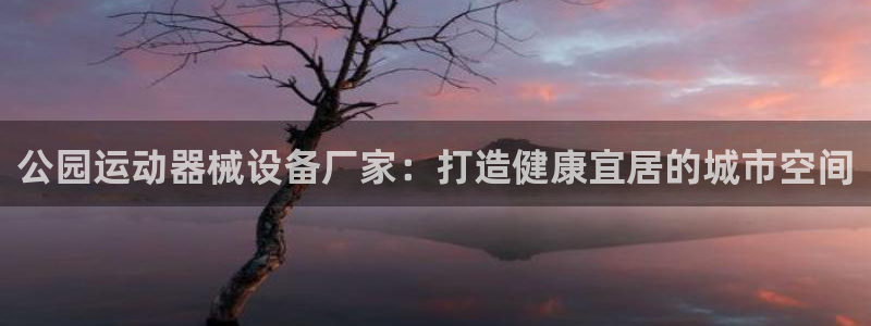 尊龙凯时代理官网入口：公园运动器械设备厂家：打造健康
