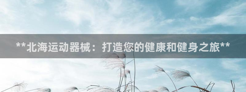 尊龙凯时取款有要求吗：**北海运动器械：打造您的健康