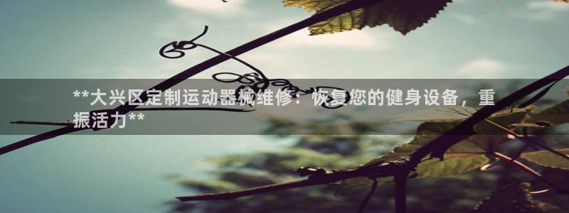 尊龙凯时投诉最狠的方法：**大兴区定制运动器械维修：