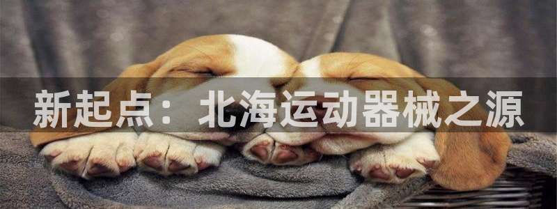 尊龙凯时导航菜单首页