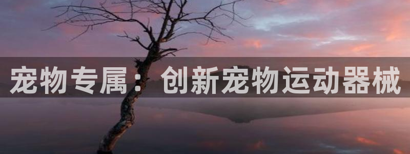 尊龙人生就是博菲律宾台子