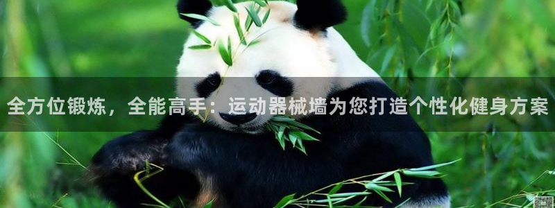 国际凯时ag优质运营商
