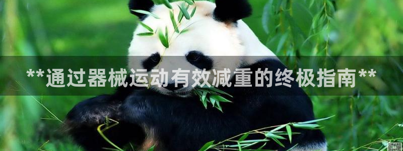 凯时K8国际：**通过器械运动有效减重的终极指南**