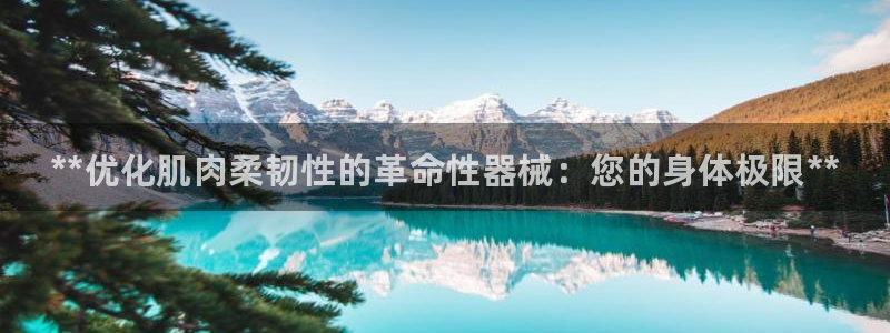 尊龙网站登录：**优化肌肉柔韧性的革命性器械：您的身体极限*