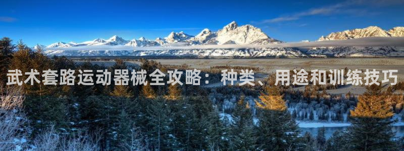 尊龙实业有限公司是正规还是仿：武术套路运动器械全攻略