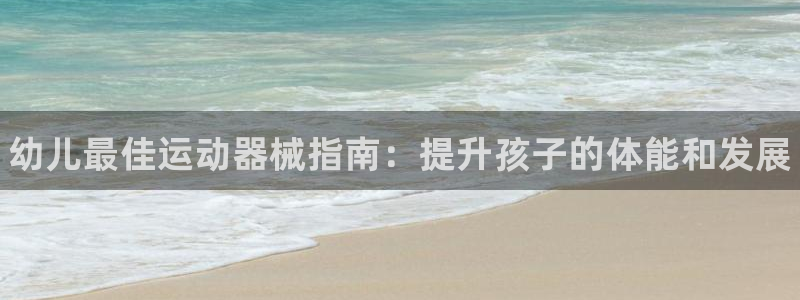 尊龙凯时台子：幼儿最佳运动器械指南：提升孩子的体能和发展