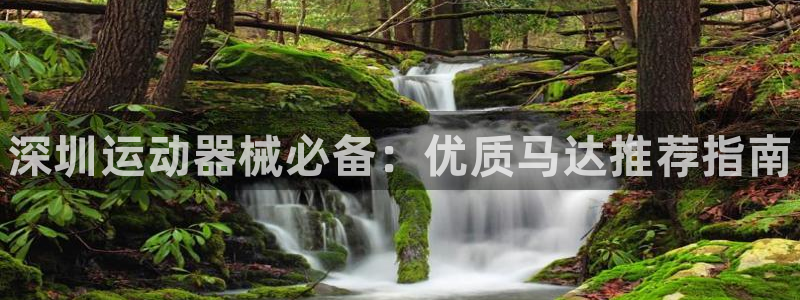 尊龙娱官网赢来就送38：深圳运动器械必备：优质马达推荐指南