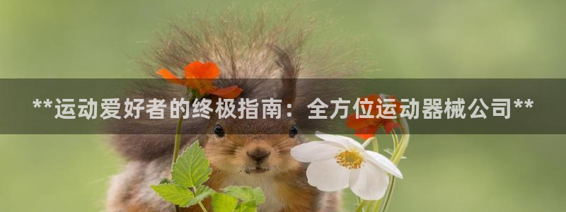 尊龙1003尊龙 - 百度：**运动爱好者的终极指南：全方位