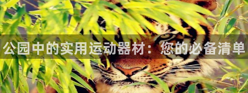 尊龙ag旗舰厅手机版:公园中的实用运动器材:您的必备清单