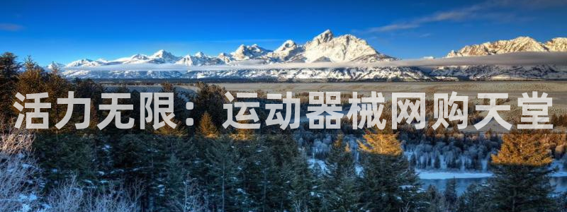 尊龙手机官方客户端下载安装：活力无限：运动器械网购天堂