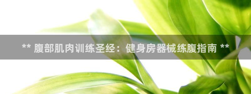 香港尊龙：** 腹部肌肉训练圣经：健身房器械练腹指南 **