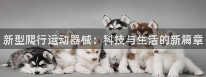 尊龙百度百科：新型爬行运动器械：科技与生活的新篇章