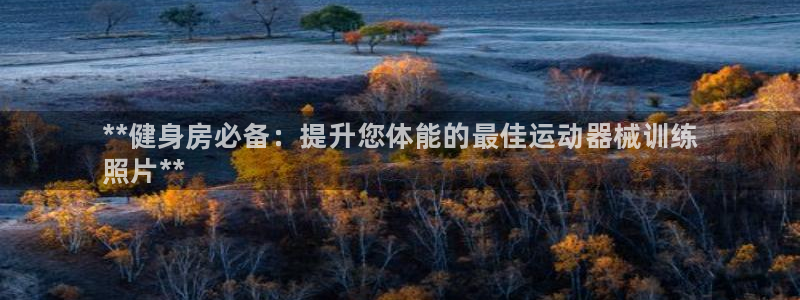 尊龙物流怎么样：**健身房必备：提升您体能的最佳运动器械训练