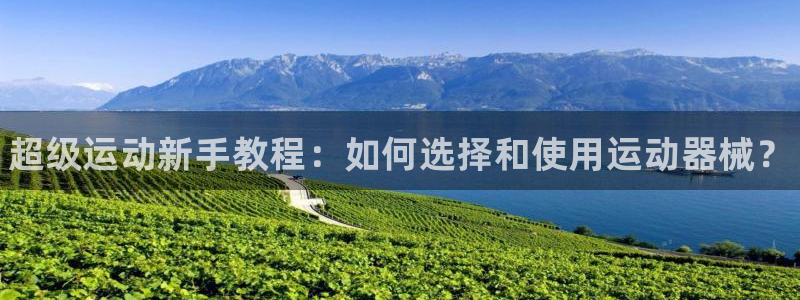 凯时在线平台官网