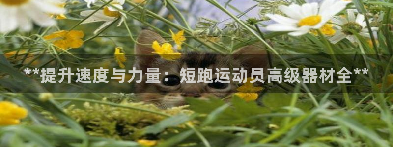 尊龙人生就是博旧版网址