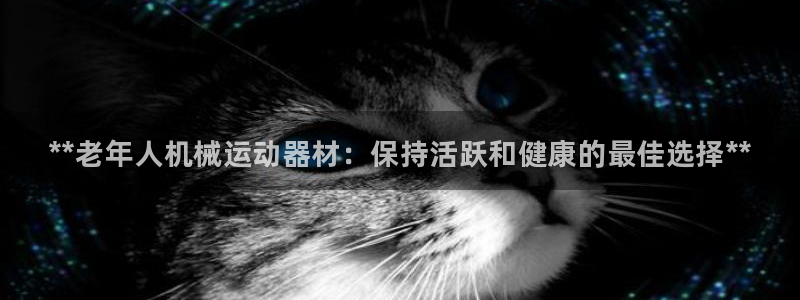 尊龙官网手机版下载：**老年人机械运动器材：保持活跃和健康的